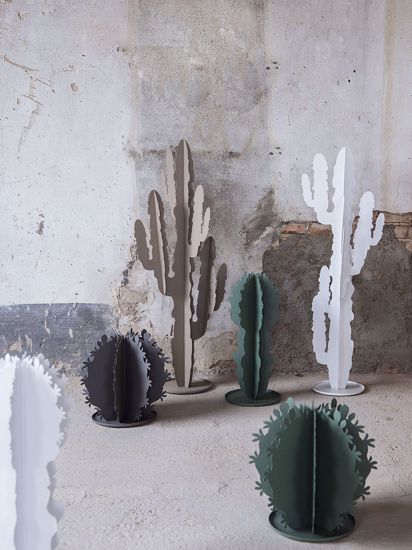 Pianta decorativa per ingresso cactus grande grigio