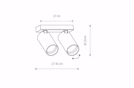 Lampada da tetto con due faretti led orientabili bianchi