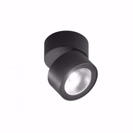 Faretto orientabile led da soffitto 15w cct nero perenz camera