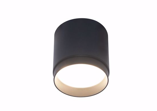 Faretto da soffitto cilindro nero