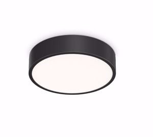 Ideal lux ray pl d30 plafoniera da esterno nera ip44  13w 3000k-4000k nera