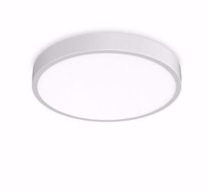 Ideal lux ray pl d60 plafoniera da esterno  3000k 4000k bianca