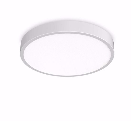 Ideal lux ray pl d60 plafoniera da esterno  3000k 4000k bianca