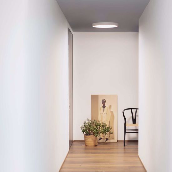 Ideal lux ray pl d60 plafoniera da esterno  3000k 4000k bianca