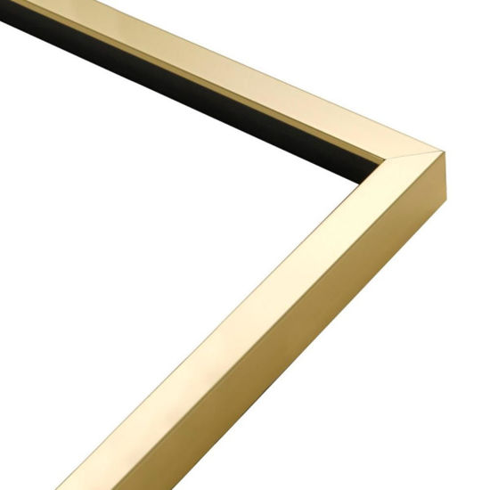 Quadro foglie tropicali moderno cornice oro 53x73