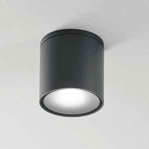 Isyluce faretto da soffitto per esterno cilindro antracite ip54