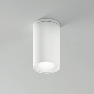 Faretto da esterno led cilindro a soffitto bianco