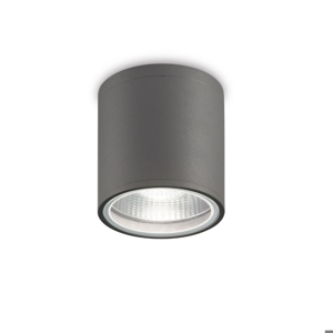 Ideal lux gun pl1 faretto da soffitto per esterno ip44 cilindro antracite