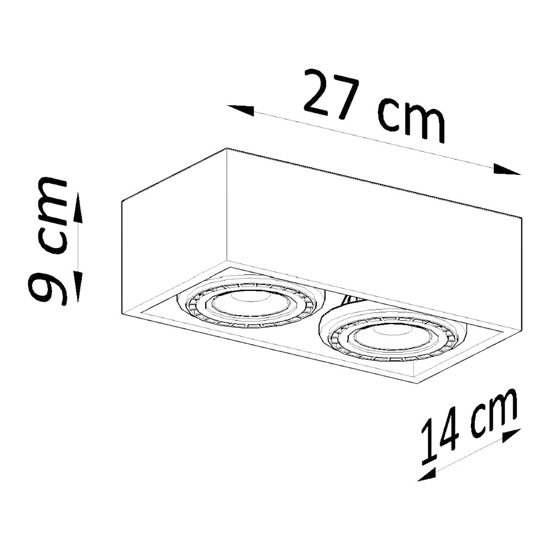 Plafoniera cestello di cemento con 2 luci portafaretti